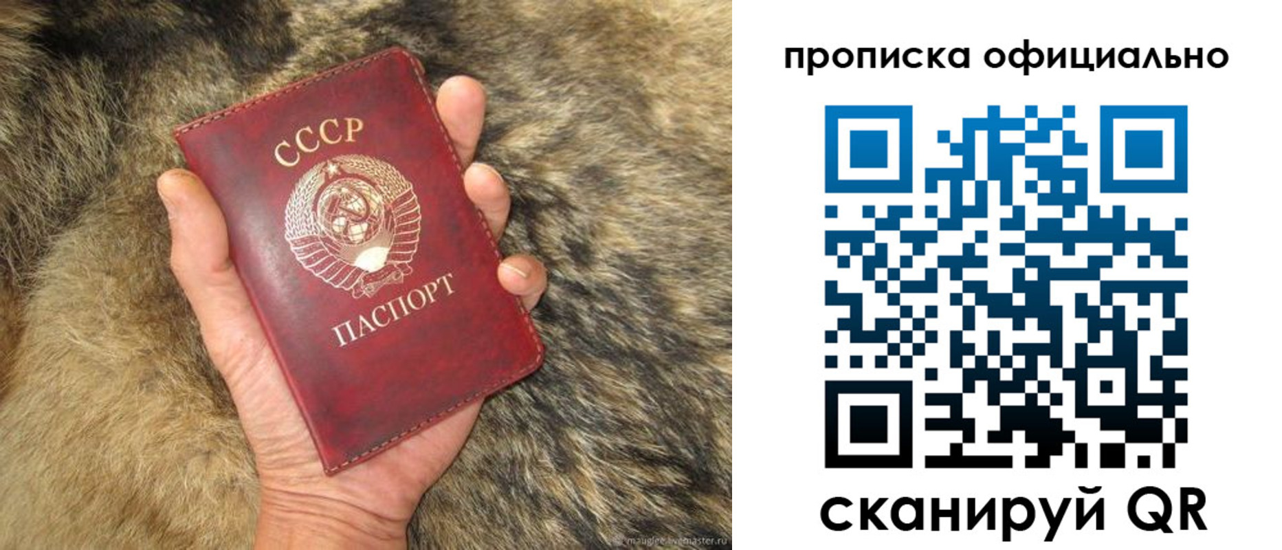прописка паспорт в Лесном